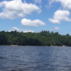 Meet your Posher, Tommy